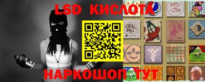 стаф Волгодонск