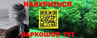 стаф Волгодонск